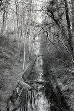 Kings Reach Cutting, Coates. 1964
