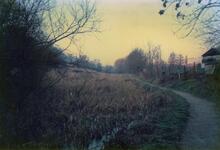 Chalford, looking West from a Lock. 1987