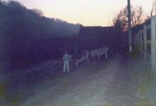 Site of Daneway Bridge Lock (No. 28) 1987