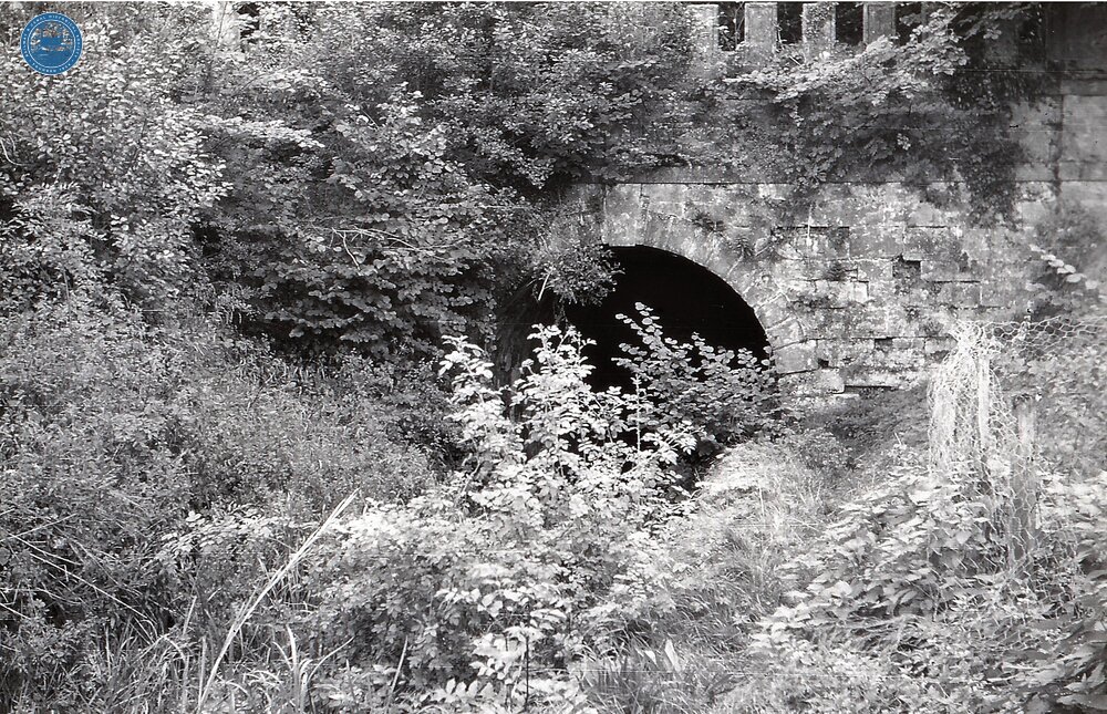 Sapperton Tunnel, Daneway Portal. 1959