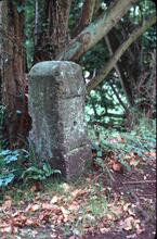 Milepost 4 near Chalford. August 1979