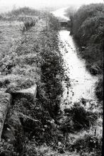 Near Pry Lock. 1962 