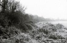 Line of the canal north of Dance Bridge 1962 