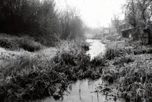 View south from Cricklade tunnel. 1962