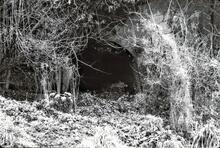 South end of Cricklade tunnel. 1962 