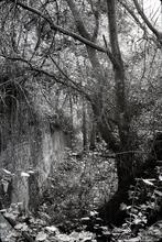 Remains of Pewsham Bottom Lock. October 1964