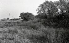 Looking towards Woodshaw Lock. October 1964