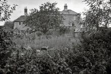 Canalside buildings. October 1964