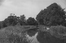 Above Hoe Mill Lock.: 1960.