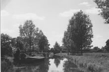Looking west from Sandford Lock. 1960