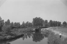 Little Baddow Lock. 1960