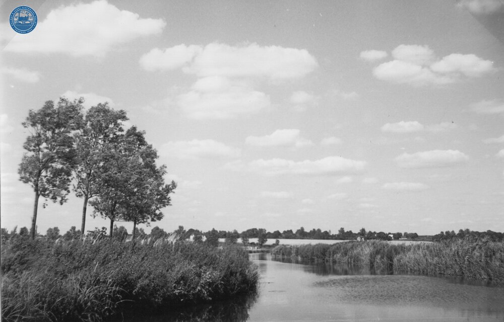 Pound just below Stonham Lock. 1960