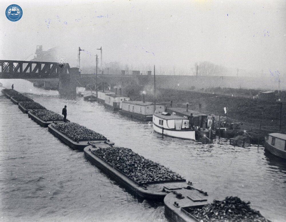 Great Ouse Navigation. “Train” of barges on the river, passing under the railway bridge, and carrying sugar beet for factories at Ely