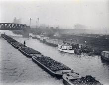 Great Ouse Navigation. “Train” of barges on the river, passing under the railway bridge, and carrying sugar beet for factories at Ely