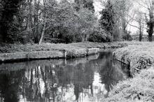 Site of staunch