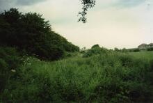 Norbriggs Arm, Mastin Moor, 1988