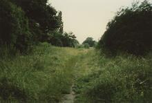 East of Bridge Street, Killamarsh, 1988