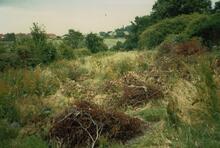 Line of the Canal in Killamarsh, 1988