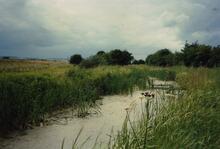 Norwood, 1988