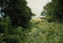 Norwood, 1988