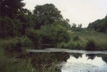 Norwood Locks, 1988