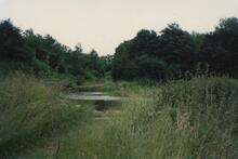 Norwood Locks, 1988