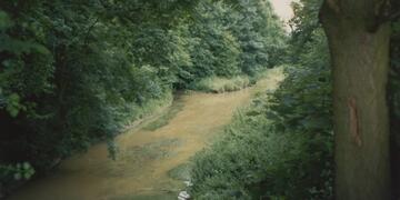 Chesterfield Canal and River Idle