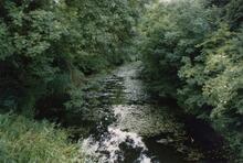 Norwood Top Pound 1988