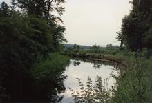 Thorpe Salvin 1988