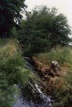 Thorpe Locks 1988