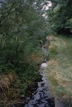 Thorpe Locks 1988