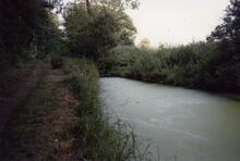 Turnerwood Locks 1988