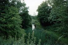 Shireoaks Bottom Lock 1988