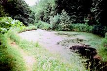 Chesterfield Canal. Thorpe Flight. Disused Pound Four between Locks 23 & 24. 1982