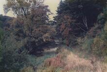 Cutting approaching Butterley Tunnel from Condor Lane 1987