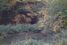 Butterley Tunnel East Portal 1987