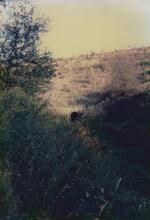 Butterley Tunnel West Portal 1987