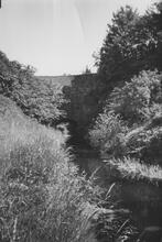 Bucklands Hollow Tunnel, West End. June 1955