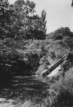 East portal of Butterley tunnel. June 1955