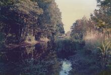 Crich Chase Looking SE 1987
