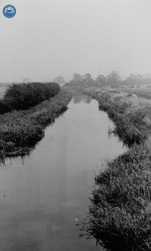 Near the terminus of the Belvoir Railway. 12 October 1957
