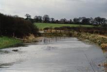 Trowell. 1989