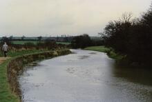 Trowell. 1989