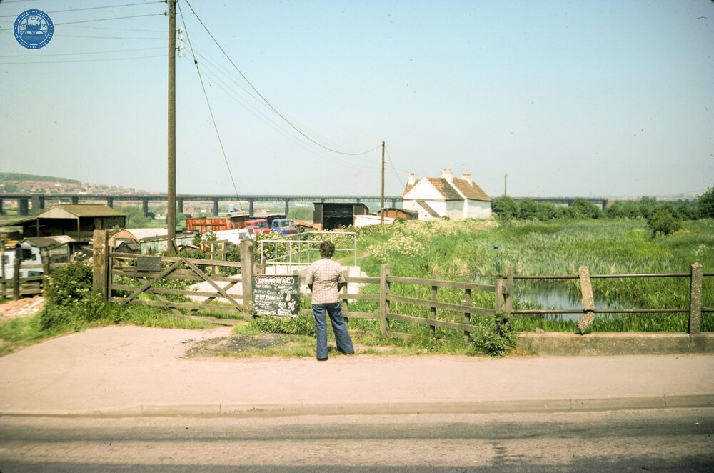 Bennerley Viaduct, Awsworth. June 1977