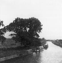 'Near Gayton'. 11/06/88