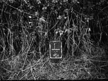  ½ mile post 