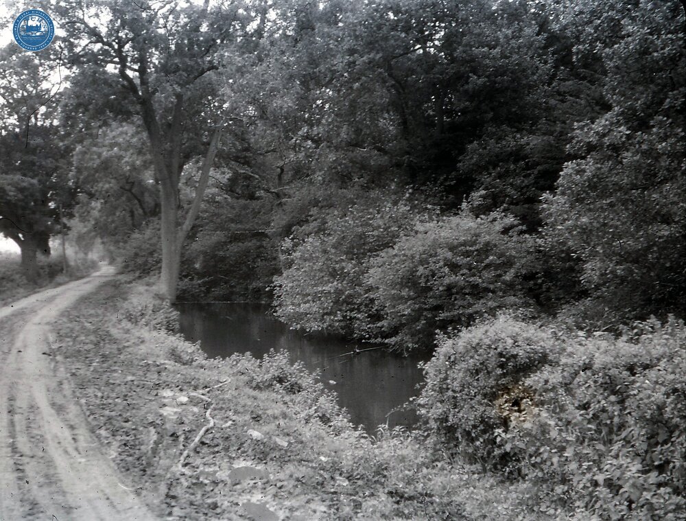 Disused stretch of canal in water approaching tunnel/bridge?