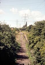 Stanley Ferry, Railway Incline. 1950