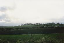 Swaithe 1988