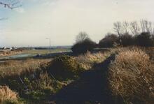 Wombwell 1988